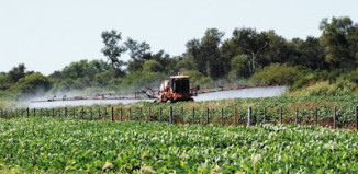Buenos Aires agrotóxicos