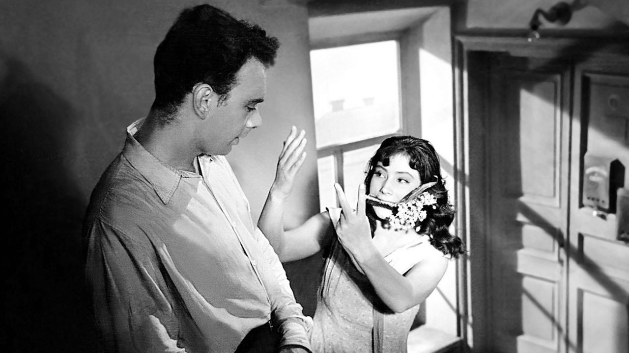 y-pasaron-las-grullas