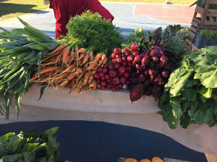 66400642_637049600109548_4046877525282914304_n