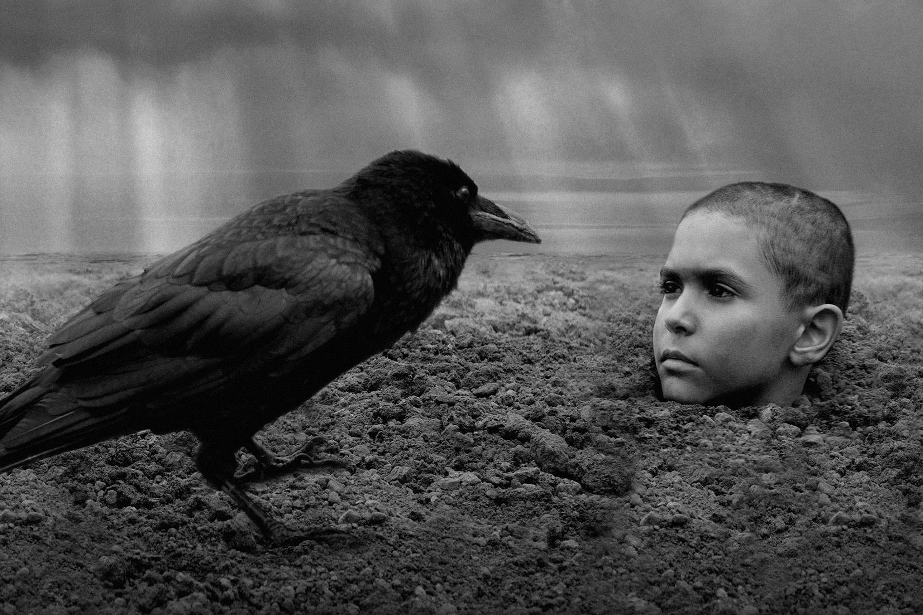 The_Painted_Bird-613174865-large