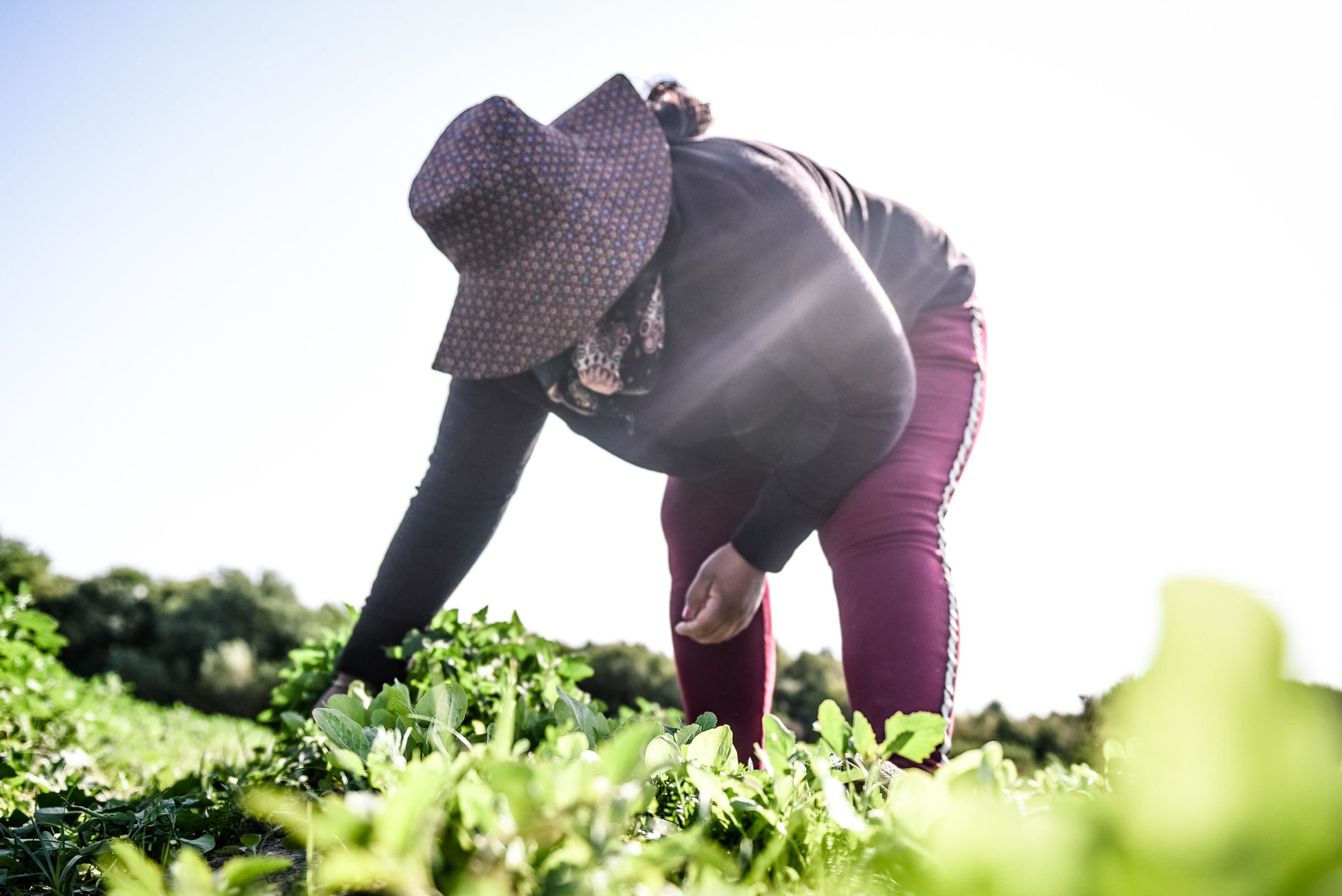 30 fotos de 2020 (15)