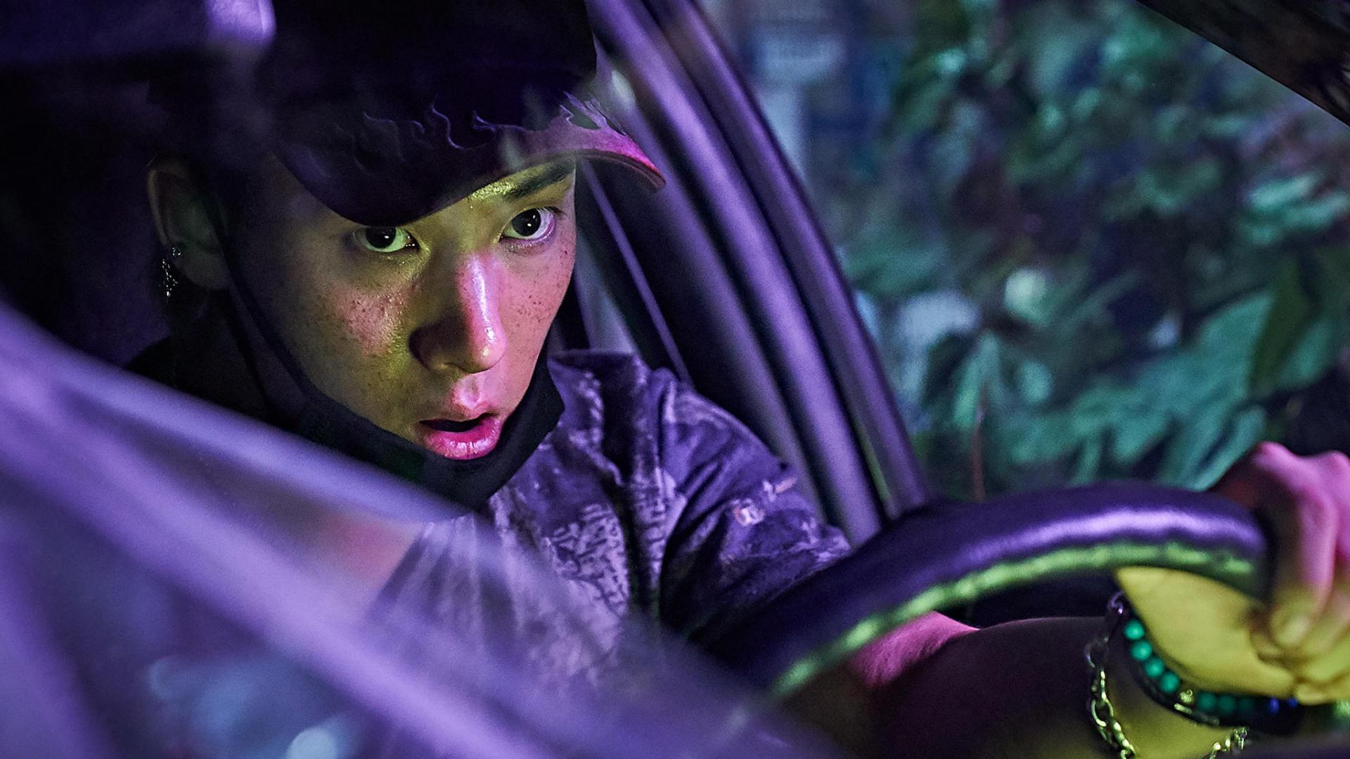 Nido_de_v_boras-695043412-large