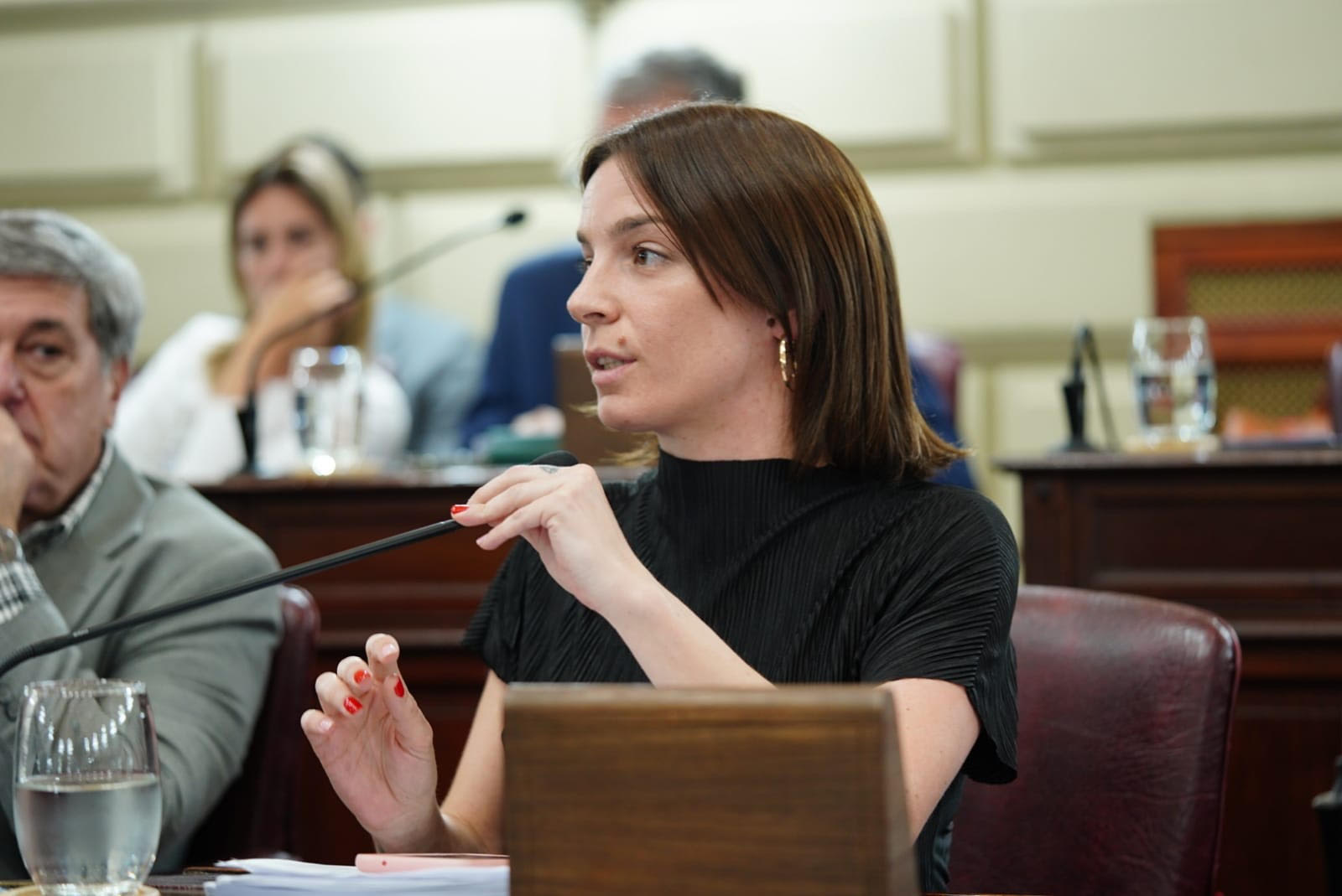 Lucila de ponti mesas de seguridad local