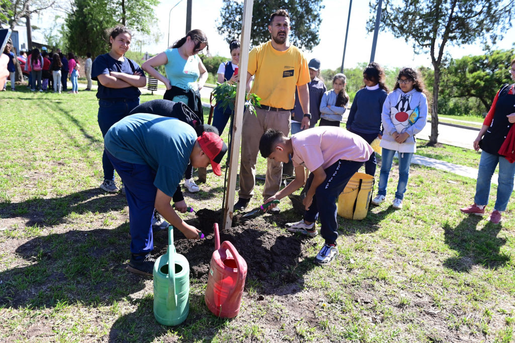 arboles municipalidad santa fe