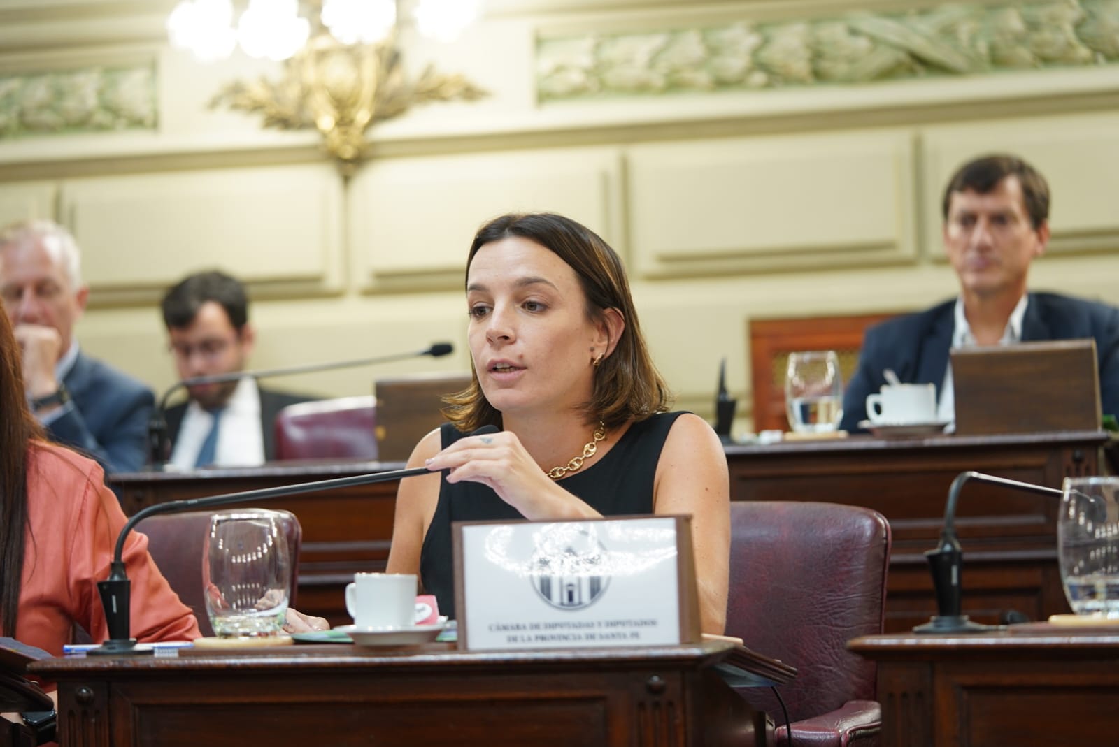 de ponti de ponti servicios sanitarios