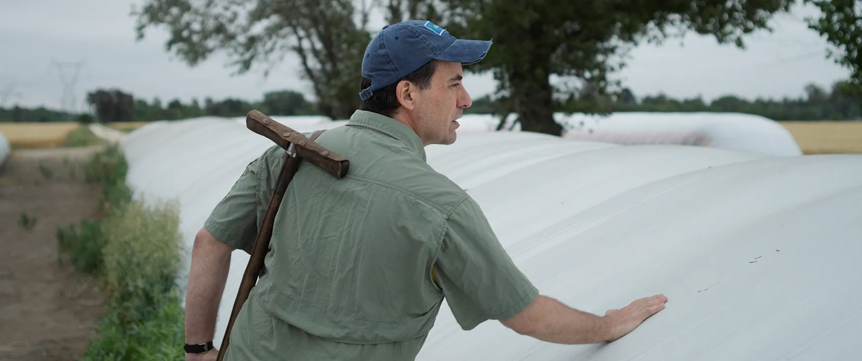 elagronomo el agronomo cine