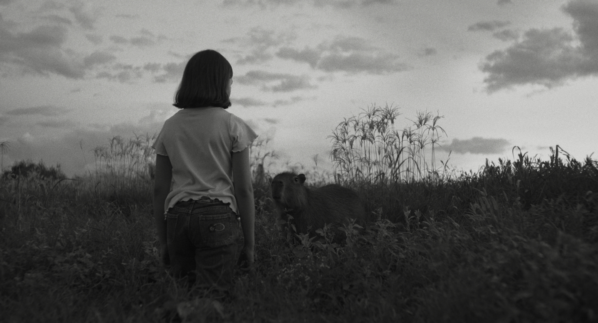 el mensaje semana del cine santafesino