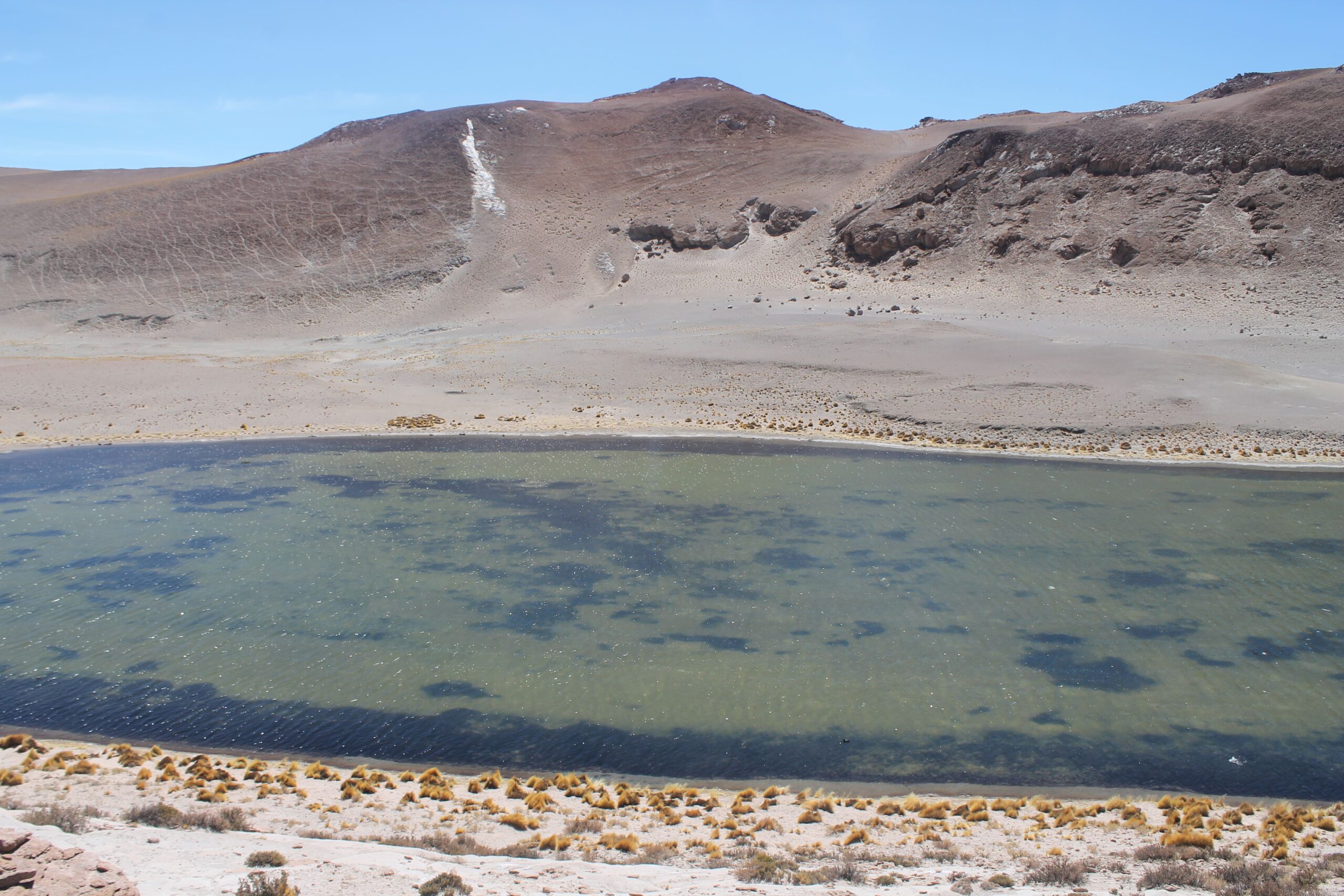 Salar del Hombre Muerto Salar del Hombre Muerto