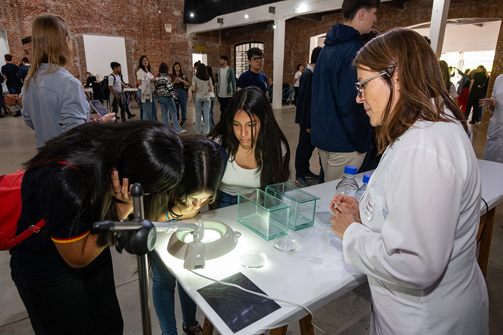 semana de la ciencia - la redonda semana de la ciencia