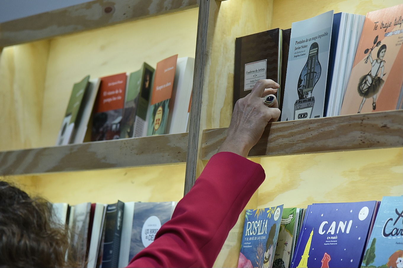 feria del libro arroyo leyes