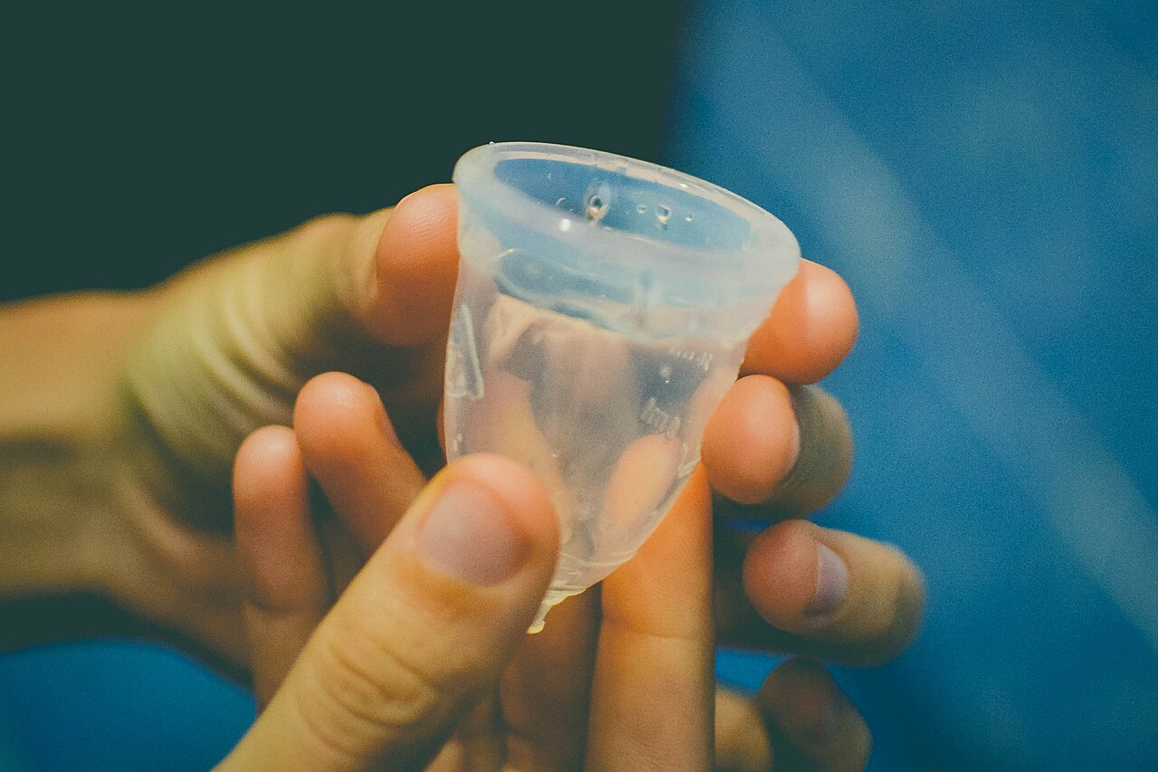 Gestion_menstrual_copita_copa_menstrual_menstruación_periodicas_11 gestión menstrual