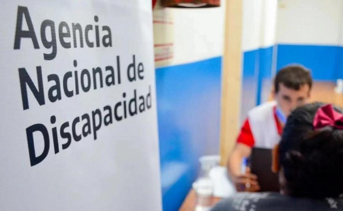 agencia nacional de discapacidad