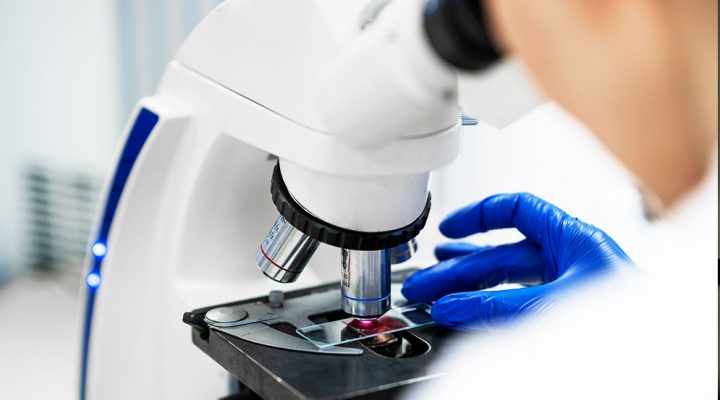 excelencia-2-web-720x400