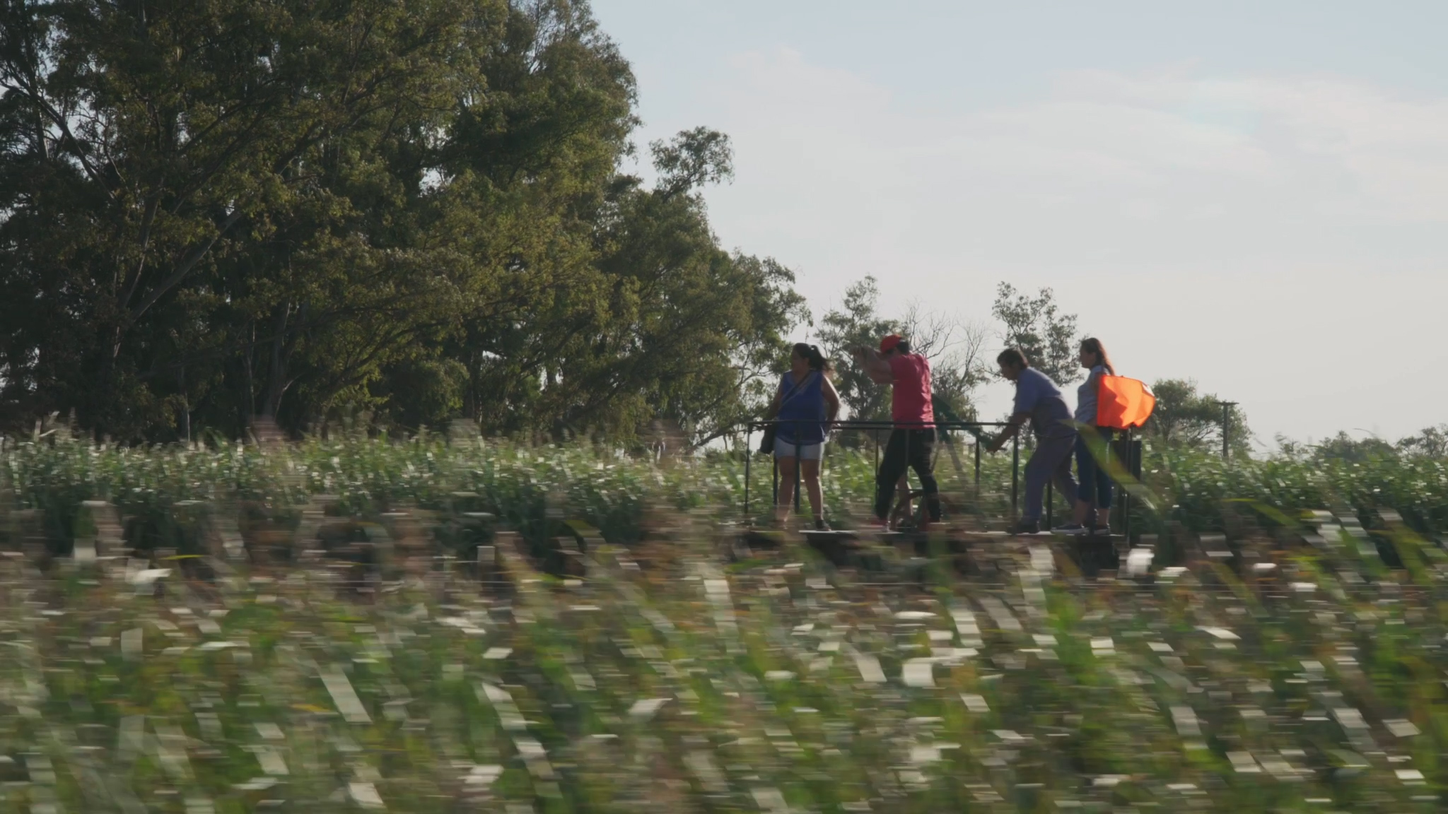 La-zorra-y-la-pampa-01 La zorra y la pampa