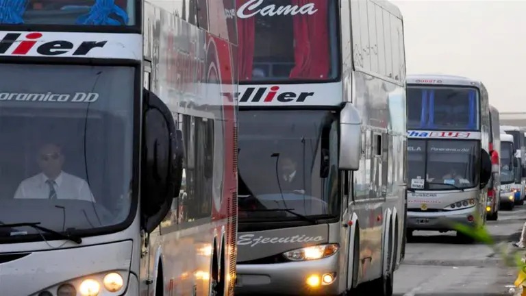 colectivos larga distancia personas con discapacidad