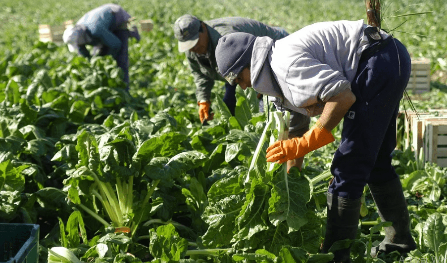 trabajo rural uatre