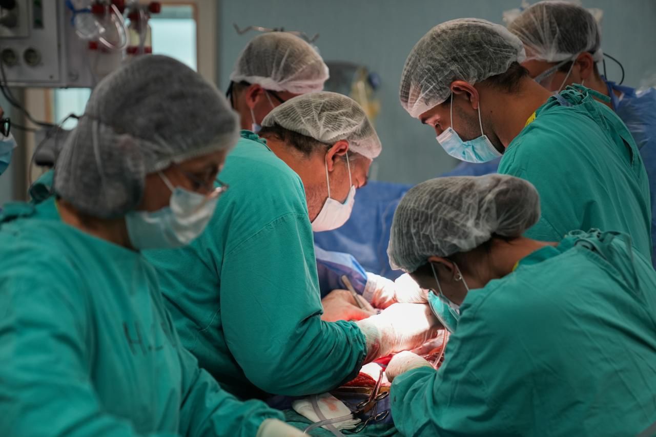Donación de órganos Órganos