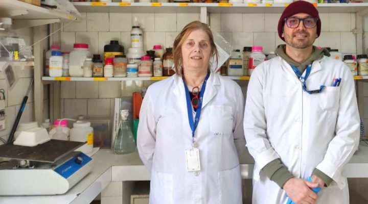 cáncer de mama